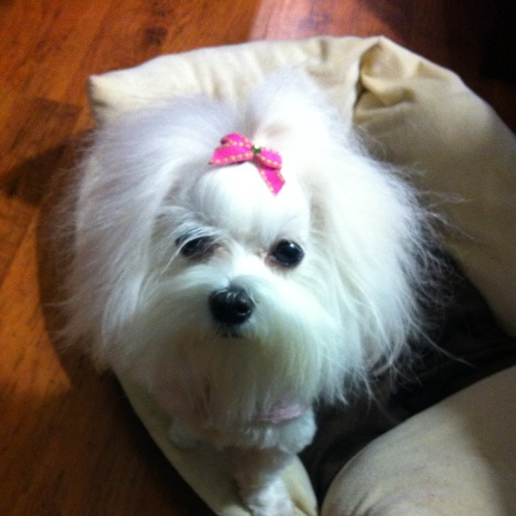 Meet your Posher, Carrie - Picture 3 of 11